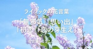 ライラック top_001